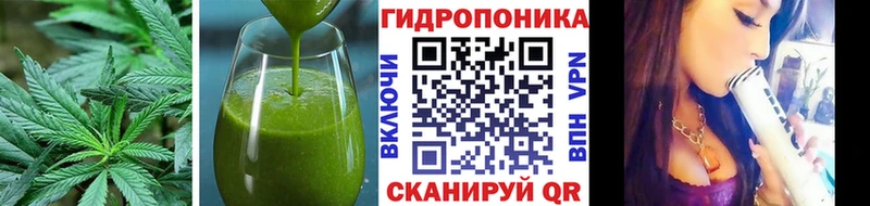 Canna-Cookies марихуана  маркетплейс как зайти  Вичуга  цена наркотик  кракен зеркало 