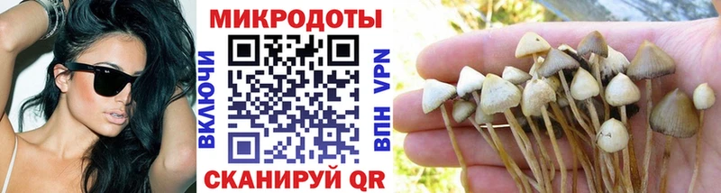 Псилоцибиновые грибы Psilocybine cubensis  blacksprut вход  Вичуга 